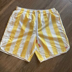 ISAIA Stripe Swim Trucks Size XL
